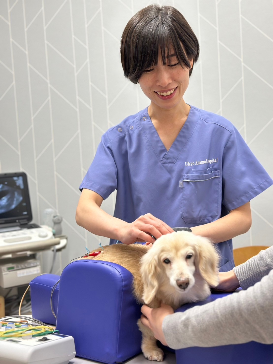 右京動物病院UZUMASA
院長三浦
